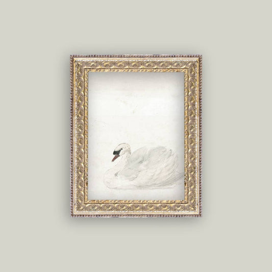 Framed artwork of a swan on a light gray background