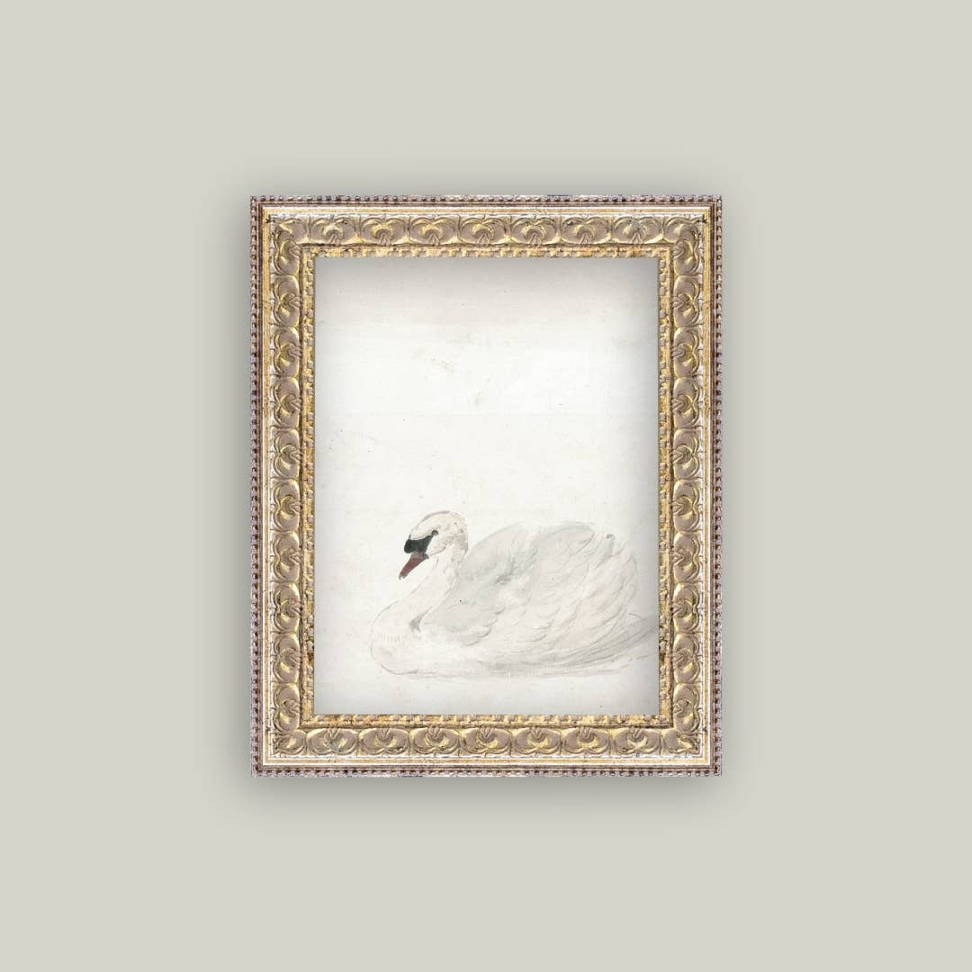 Framed artwork of a swan on a light gray background