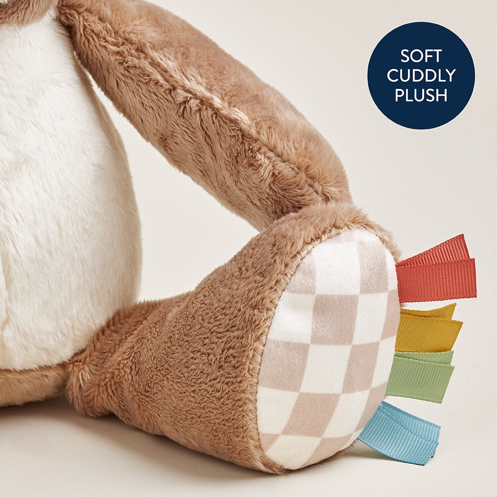 Sweetie Snuggles™ Plush (Bear)