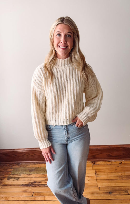 Arden Cream Cropped Knit Sweater