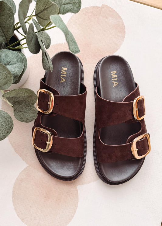 Pair of brown sandals with gold buckles on a light background with green leaves.