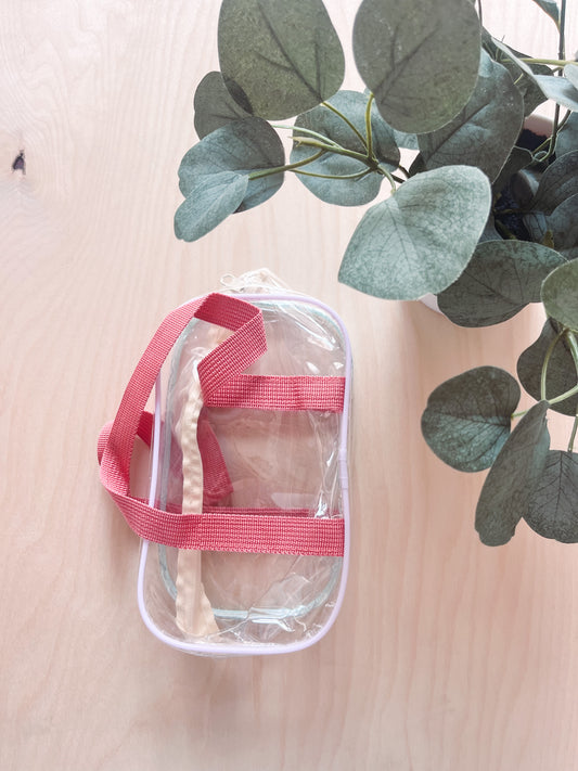 Transparent Small Beach Bag
