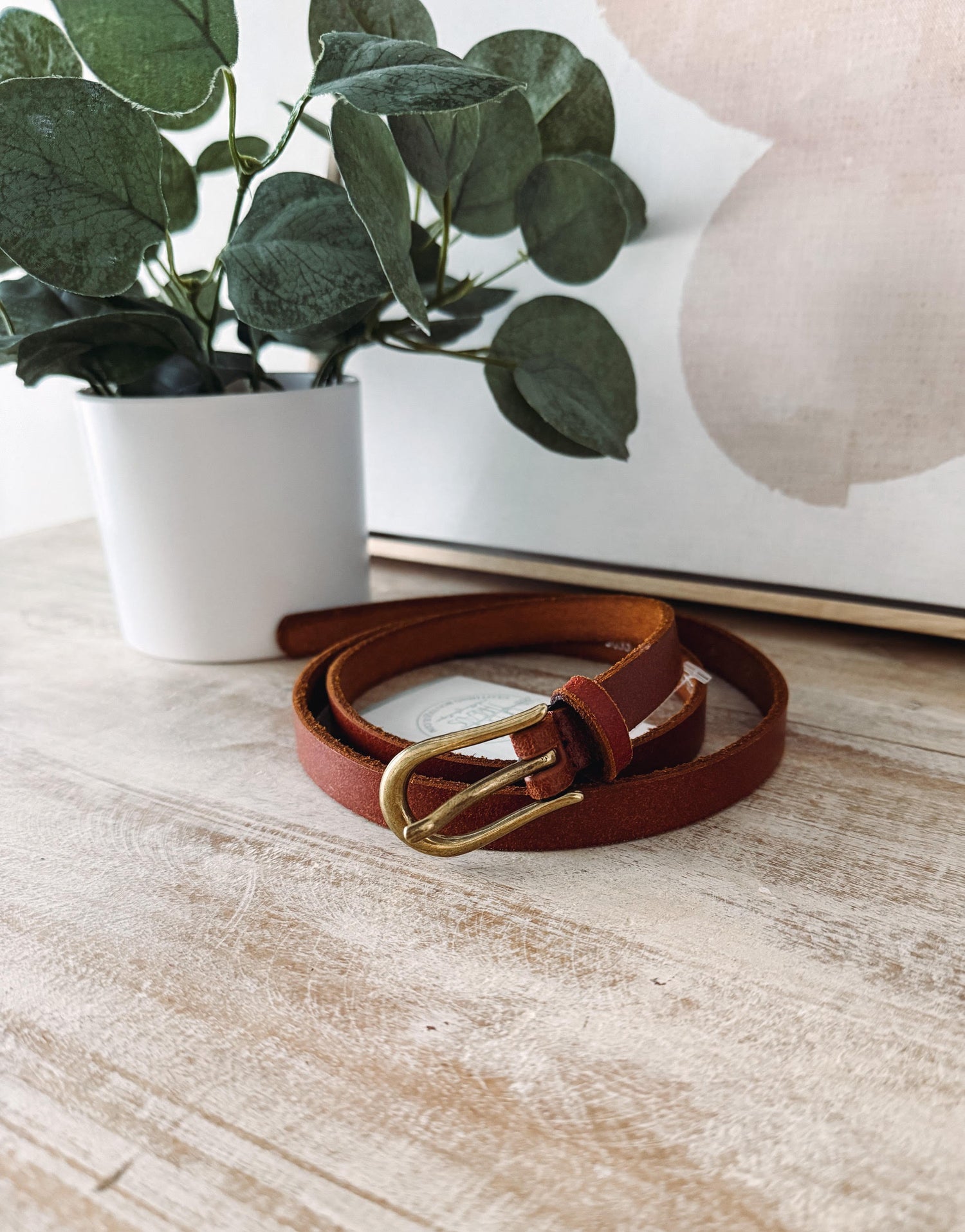 Brown leather belt with gold buckle on a wooden surface next to a potted plant.