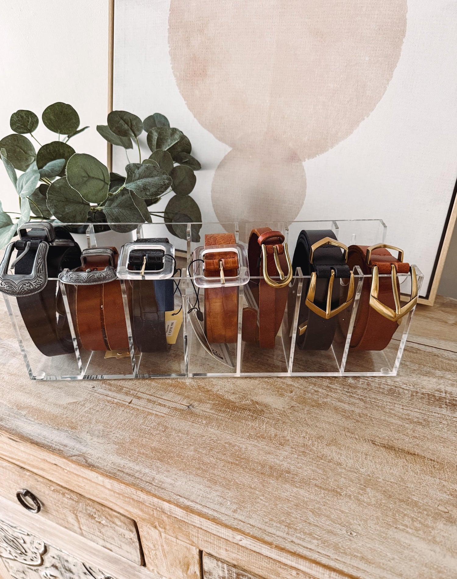 Set of belts displayed in clear acrylic stands on a wooden surface with a lamp and plant in the background.