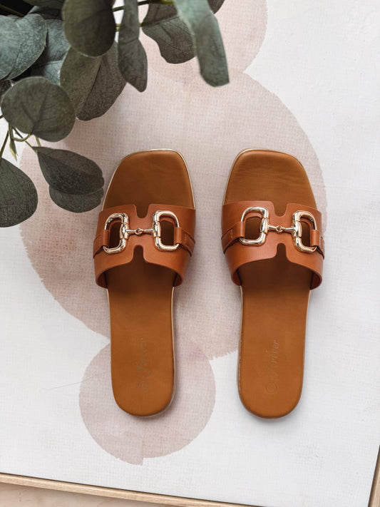Pair of brown leather slides with gold buckles on a light background