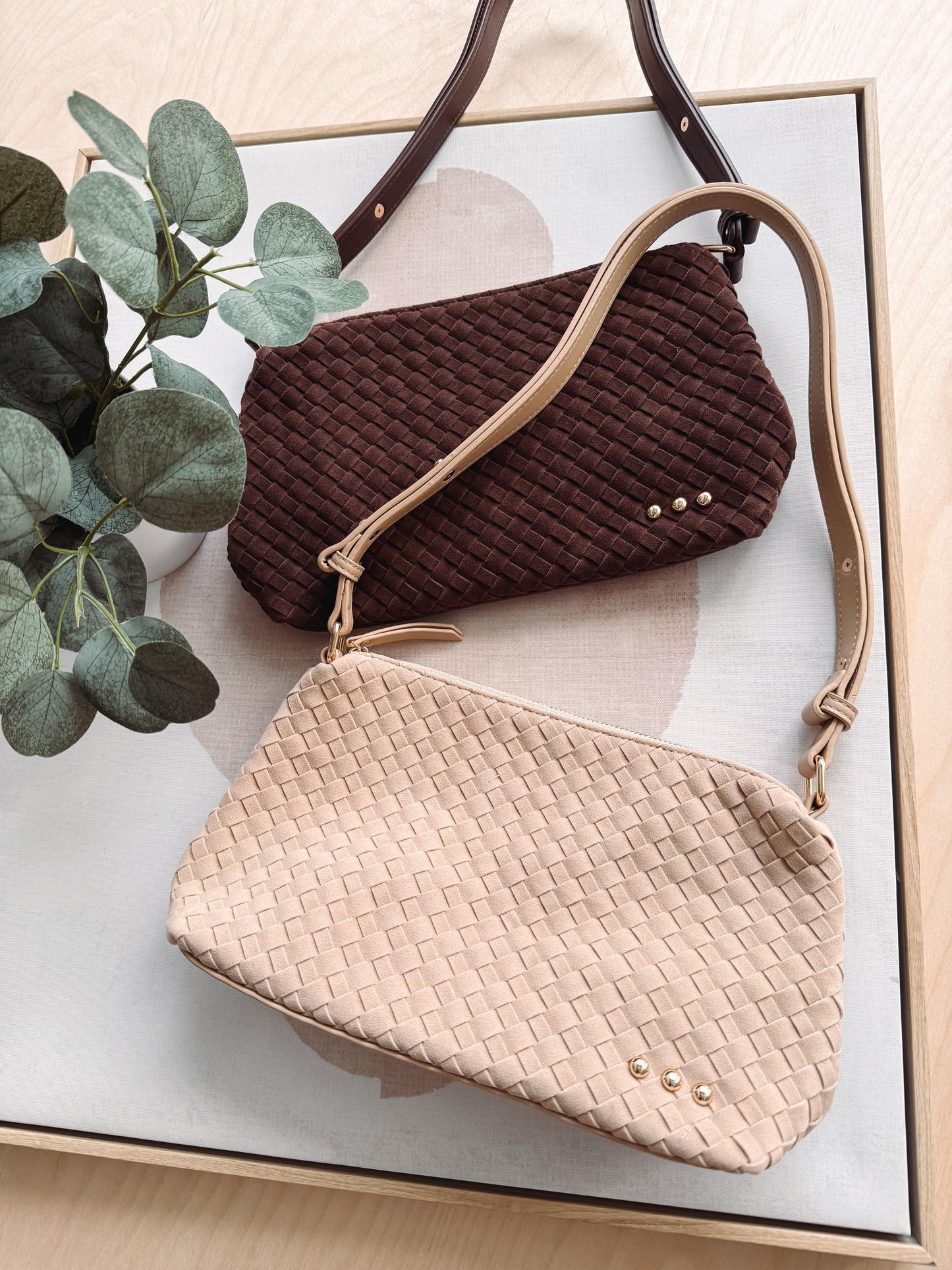 Two handbags, one brown and one beige, on a light surface with a plant in the corner.