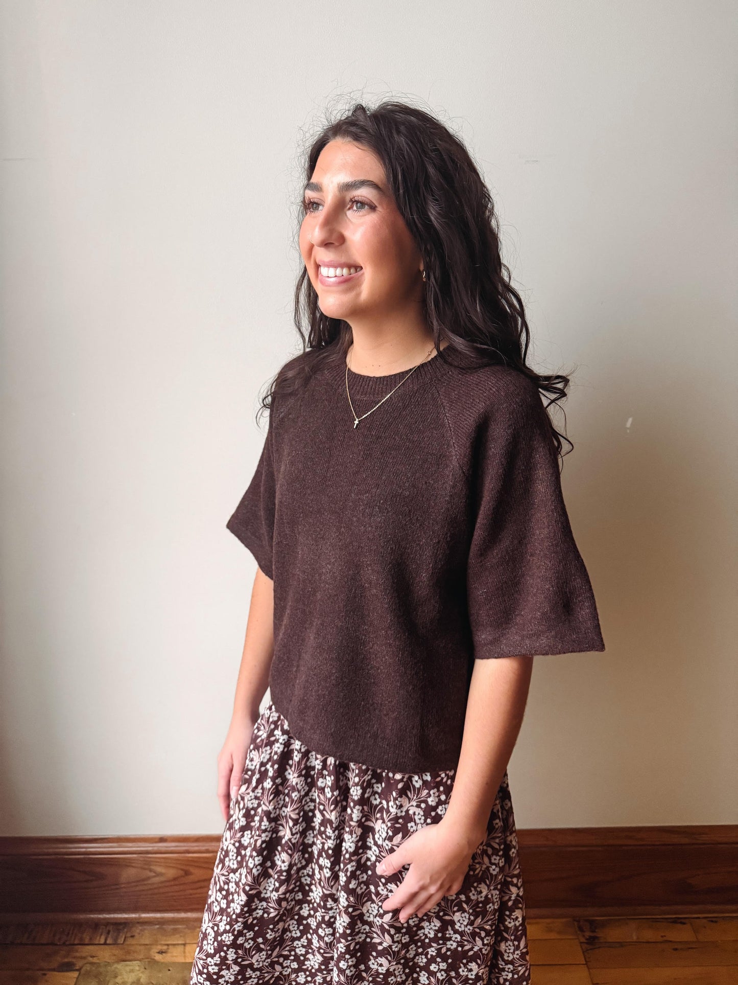 Danica Short Sleeve Brown Sweater