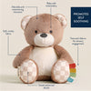 Sweetie Snuggles™ Plush (Bear)