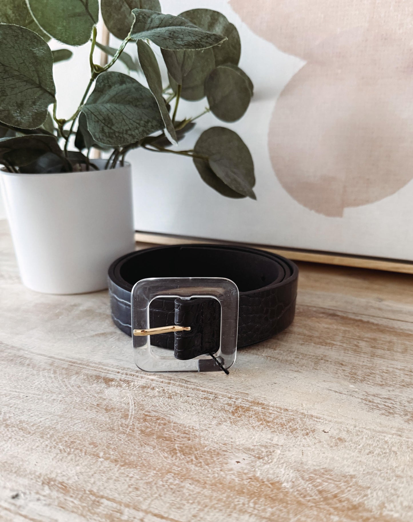 Black belt with buckle on a wooden surface next to a potted plant and abstract painting.