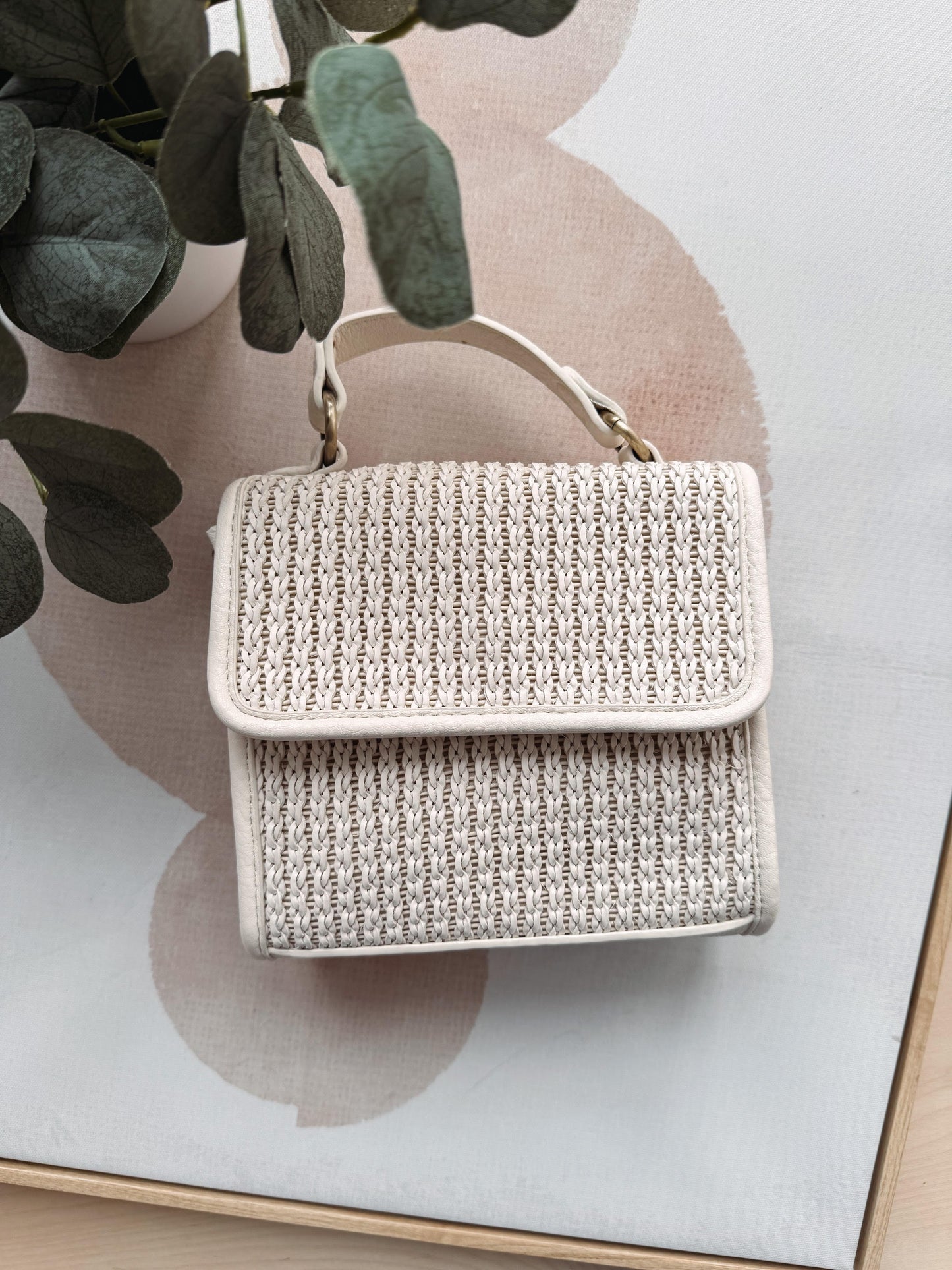Woven handbag on a light surface with a plant in the background