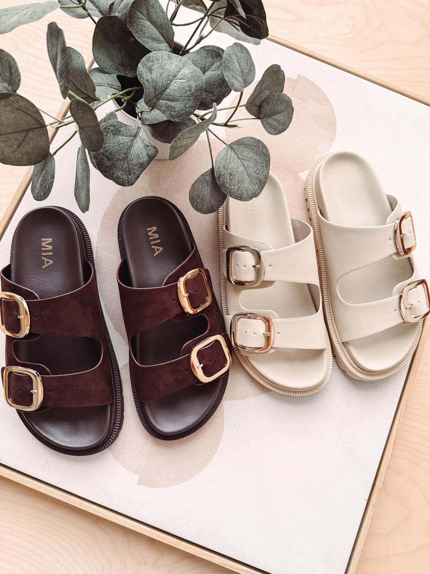 Pair of brown sandals with gold buckles and a beige sandal with a gold buckle on a light wooden surface with green leaves.