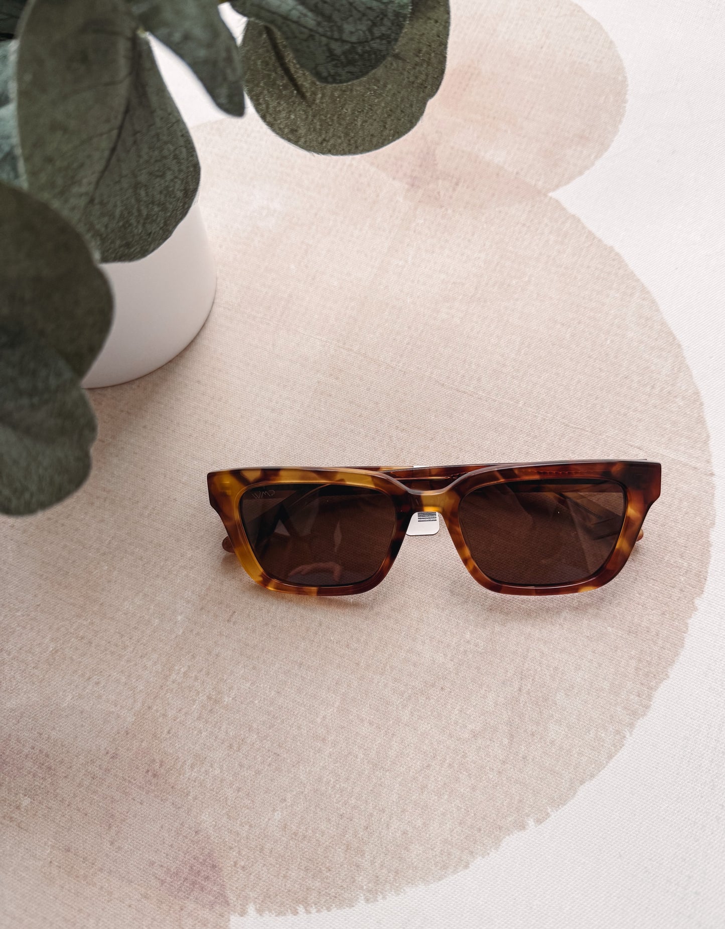 Tortoiseshell sunglasses on a large beige hat with green plants in the background