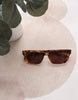 Tortoiseshell sunglasses on a large beige hat with green plants in the background