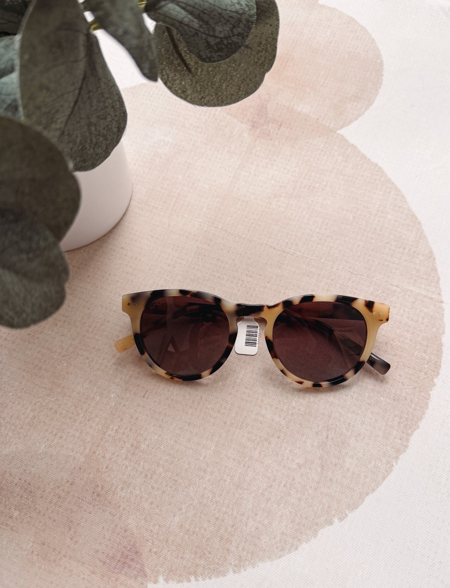 Sunglasses with tortoiseshell frame on a round beige surface with green plants in the background