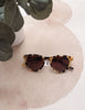 Sunglasses with tortoiseshell frame on a round beige surface with green plants in the background