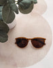 Brown sunglasses on a beige cushion with green leaves in the background
