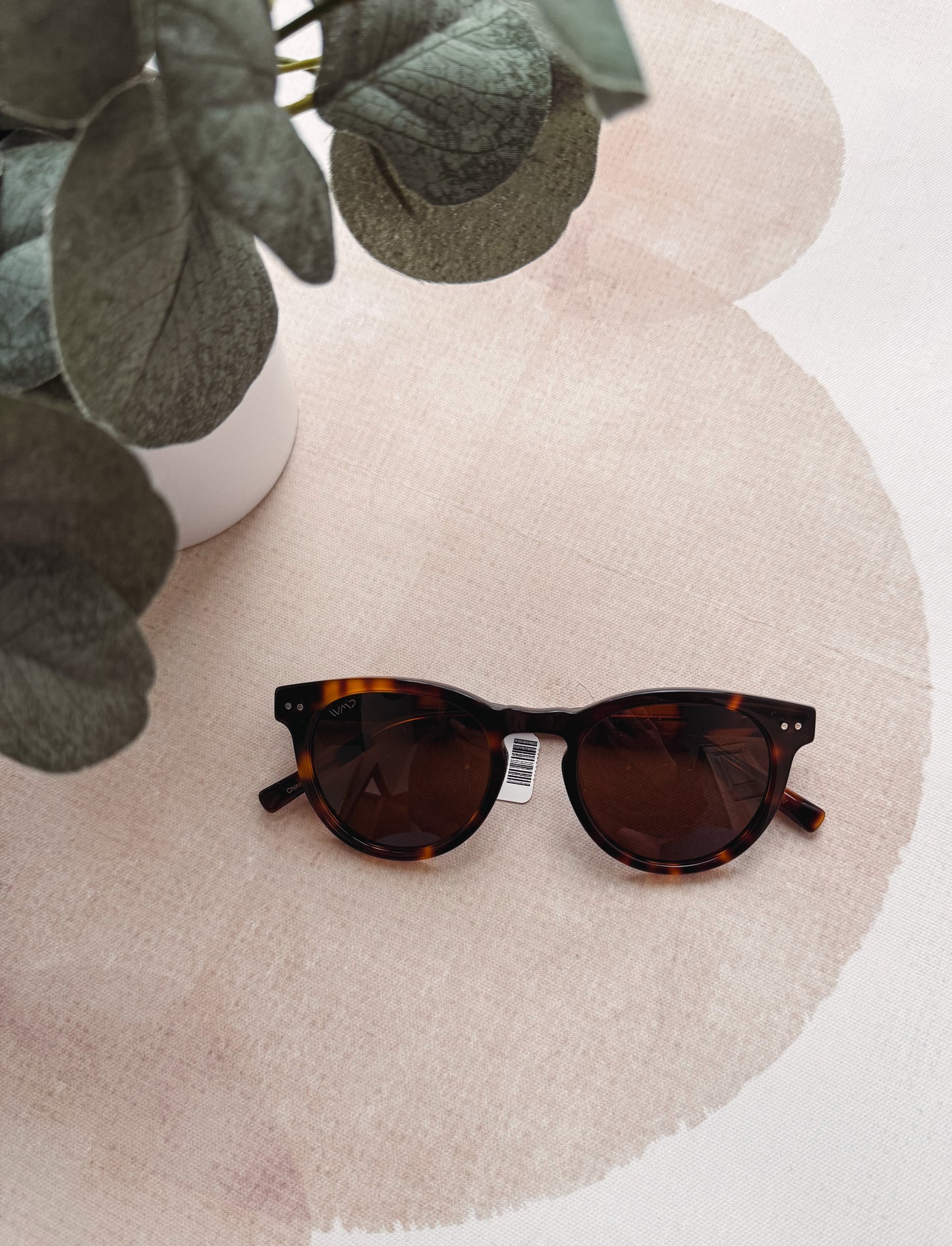 Tortoiseshell sunglasses on a beige cushion with a plant in the background