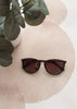 Sunglasses on a textured surface with a plant in the corner