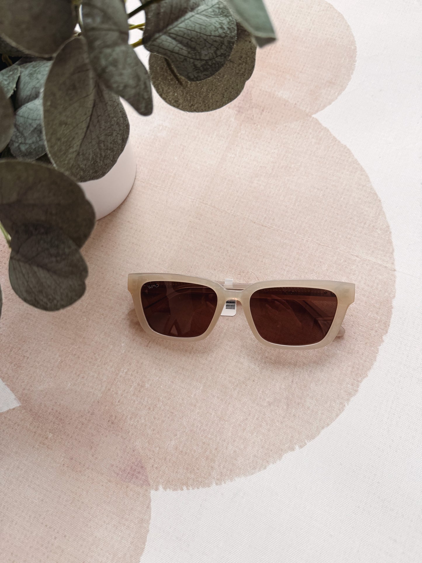 Sunglasses on a pink cushion with a plant in the background