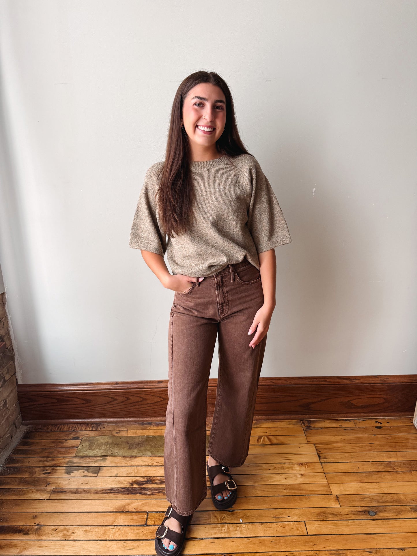 Short Sleeve Taupe Sweater
