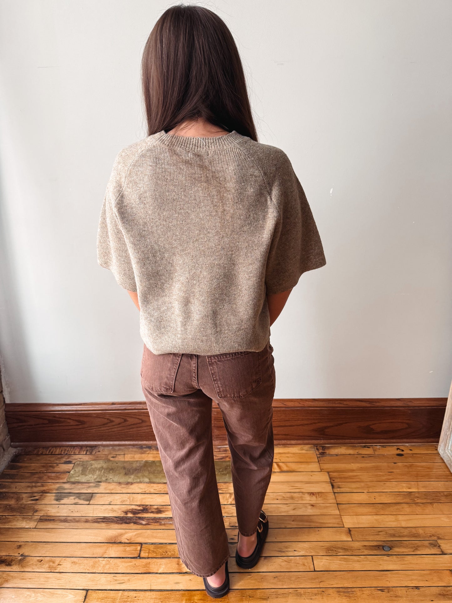 Short Sleeve Taupe Sweater