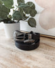 Black belt with silver buckle on a wooden surface next to a potted plant