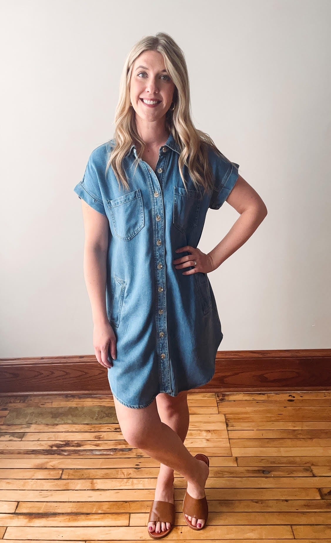 Rebecca Collared Button Down Dress