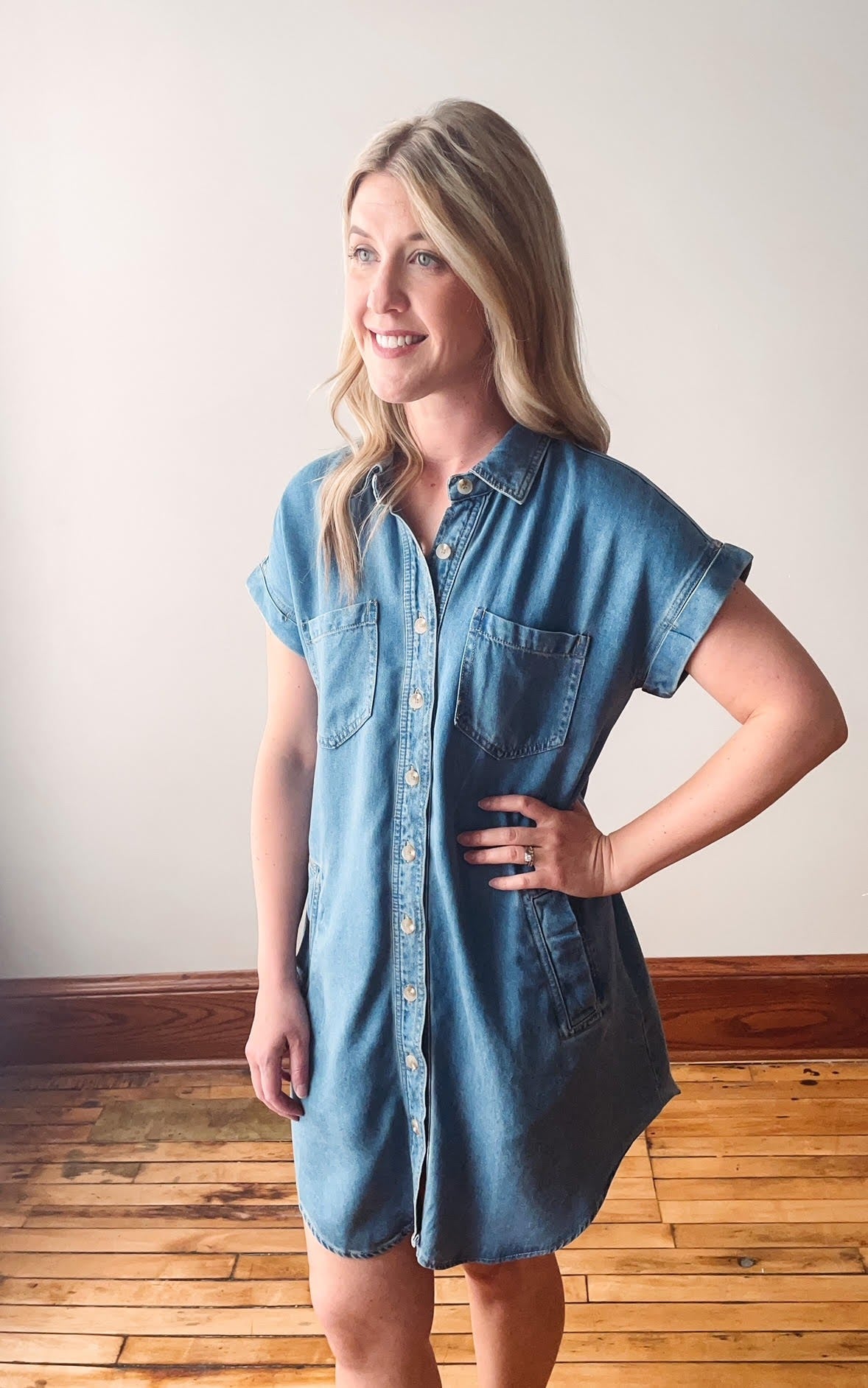 Rebecca Collared Button Down Dress