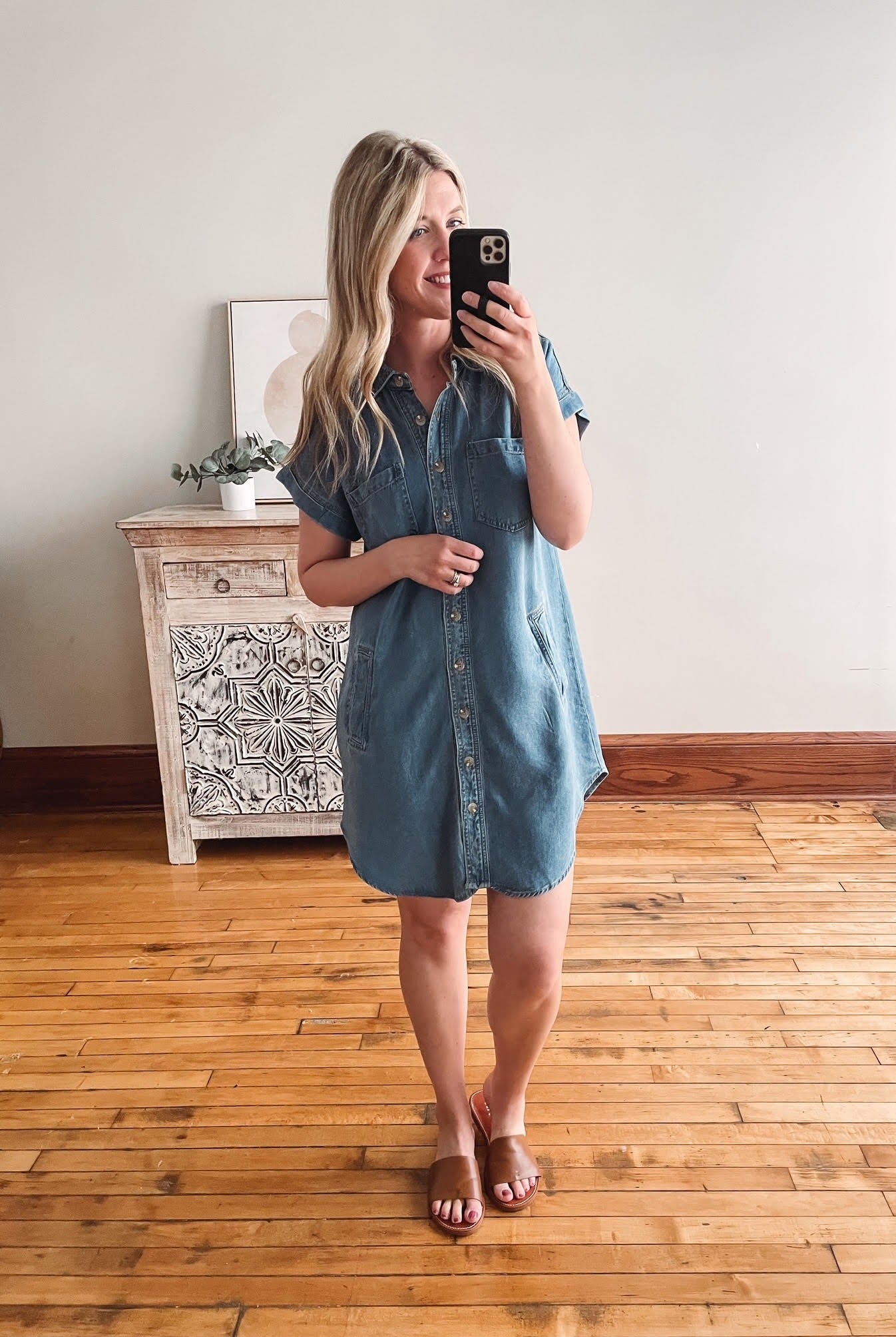 Rebecca Collared Button Down Dress