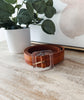 Brown belt with a clear buckle on a wooden surface next to a potted plant.