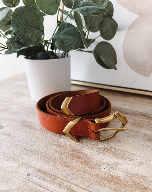 Brown leather belt with gold buckle on a wooden surface with a plant in the background