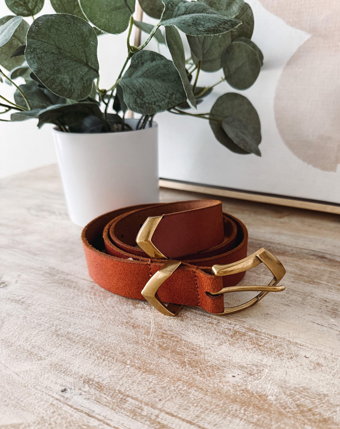 Brown leather belt with gold buckle on a wooden surface with a plant in the background