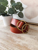 Brown leather belt with gold buckle on a wooden surface with a plant in the background