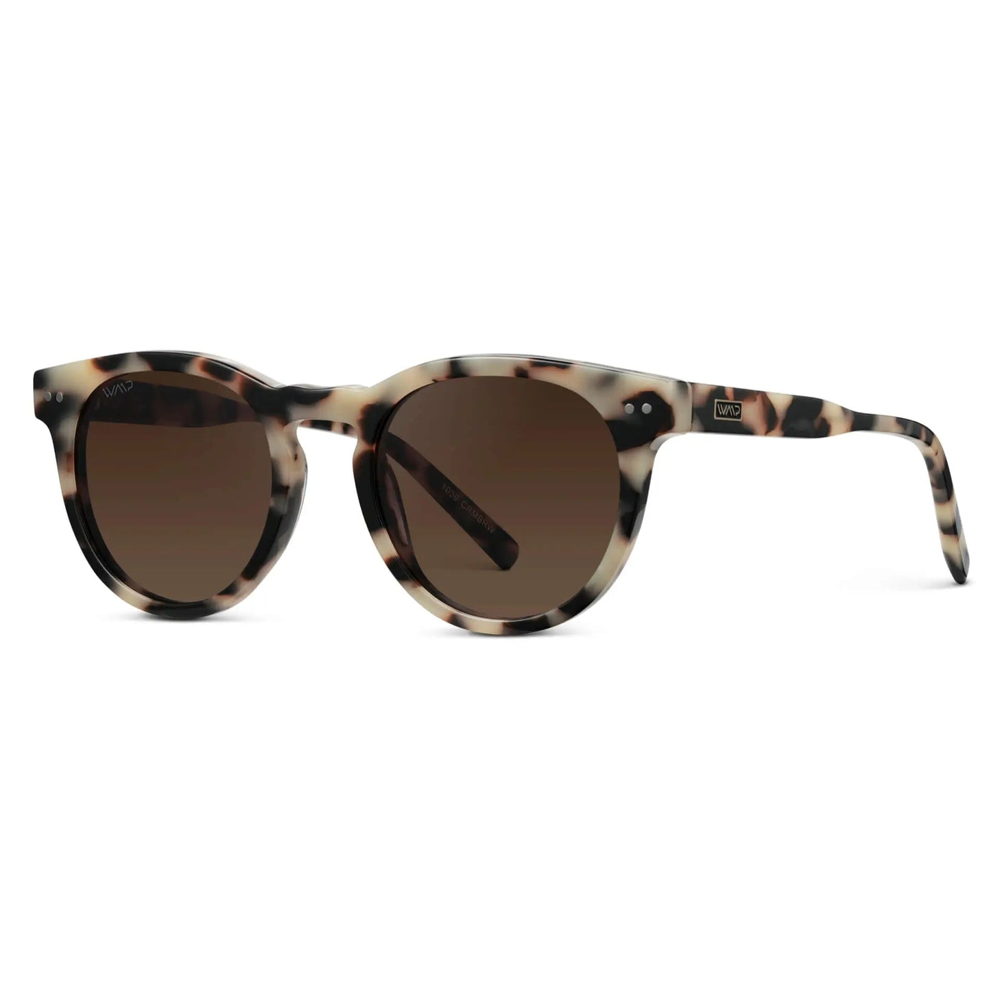 Sunglasses with tortoiseshell frame and brown lenses on a white background