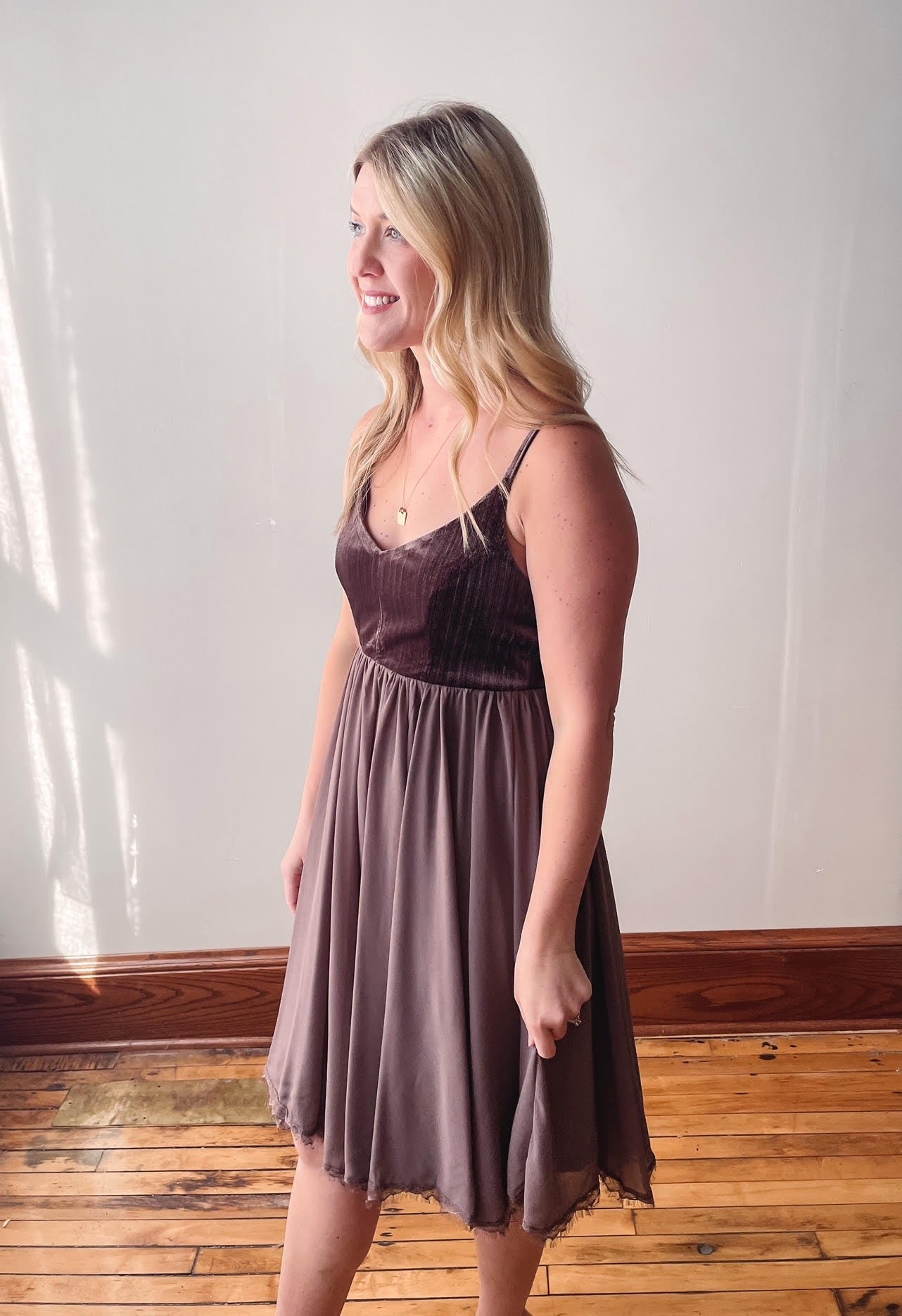 Velvet + Chiffon Taupe Dress