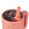 HydroJug Traveler 20oz - Daisy Checkers