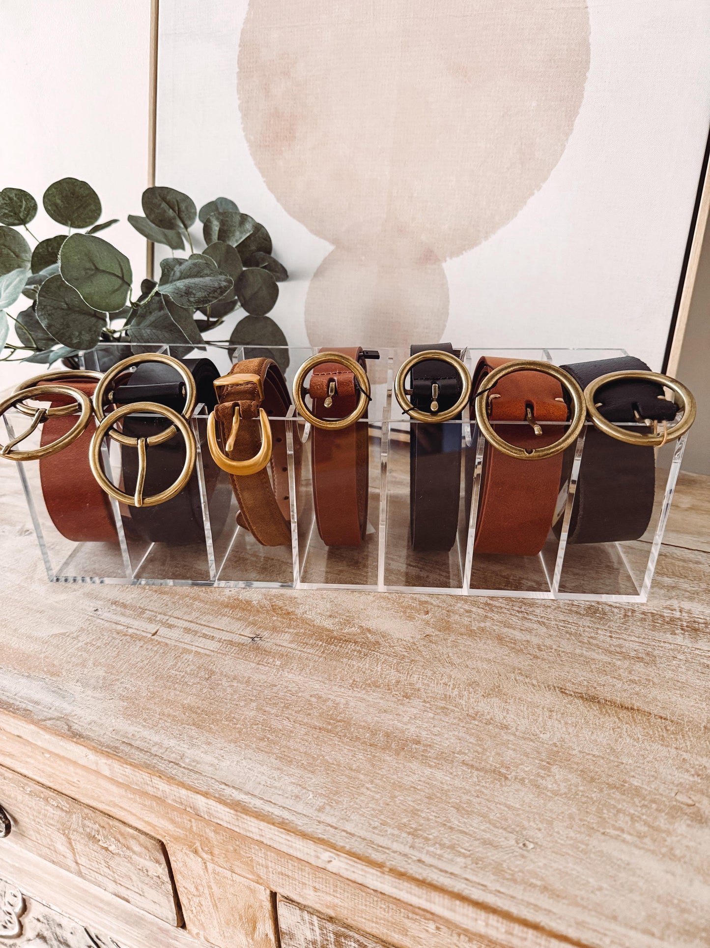 Set of belts with gold buckles displayed in a clear stand on a wooden surface.