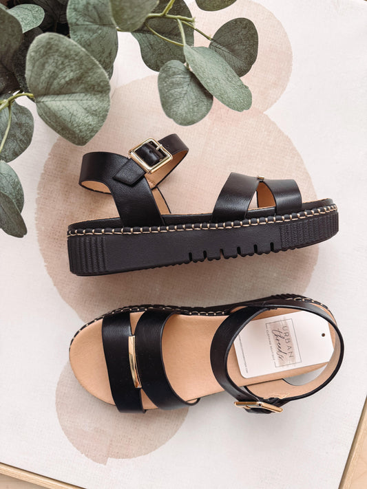 Black sandals with gold buckles on a light background with green leaves.