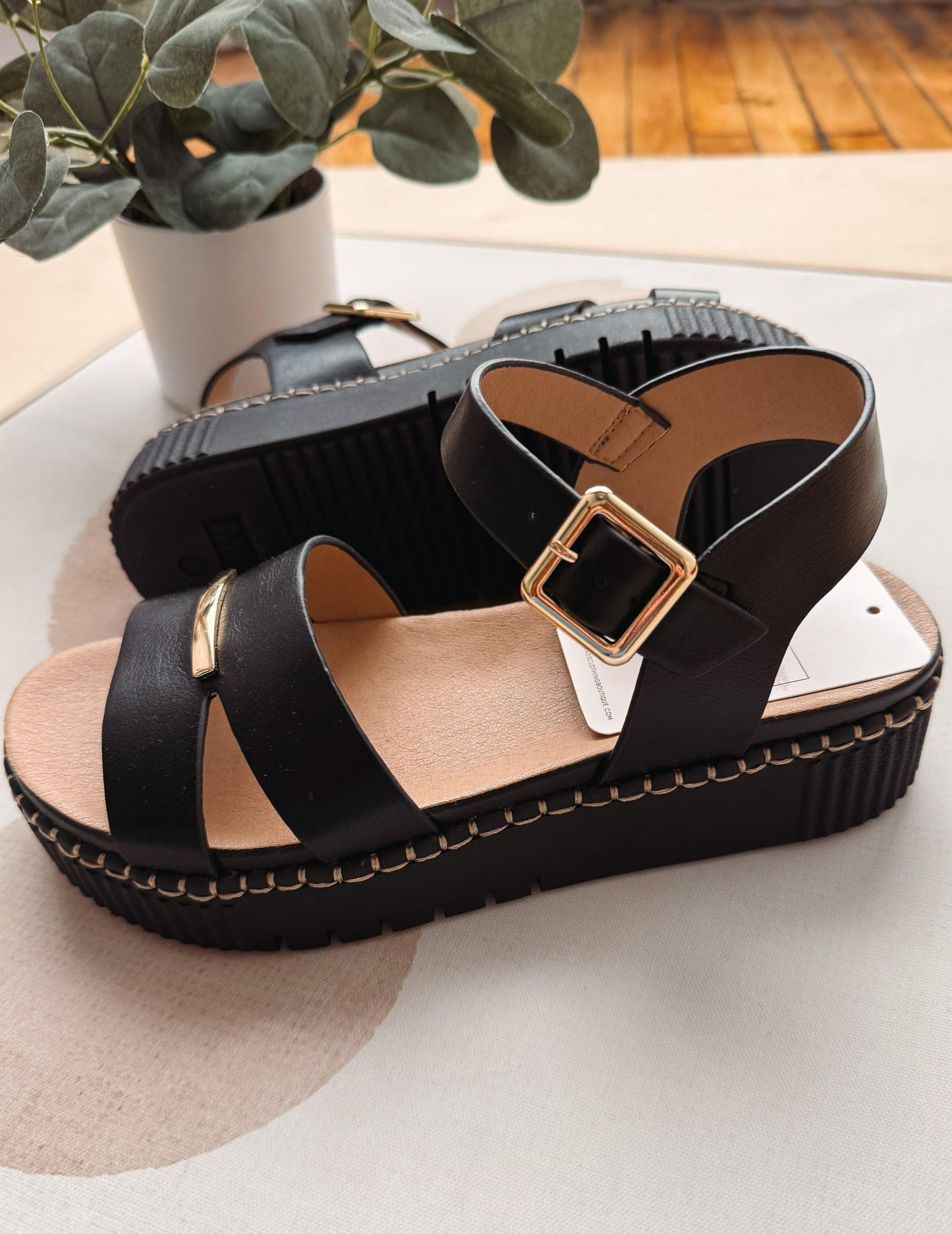 Black sandals with a gold buckle on a white surface, with a plant in the background.