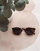 Tortoiseshell sunglasses on a beige surface with green leaves in the corner
