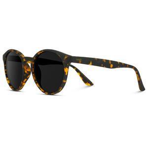 Retro Brown Tortoise Sunglasses